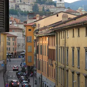 Center Nice , Bérgamo Italia